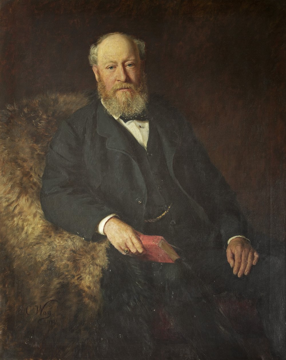 Sir J. H. Greville Smyth - Emily C. Way