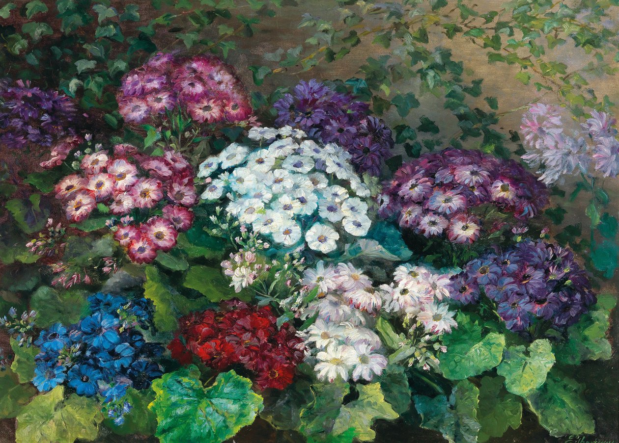 Fleurs d