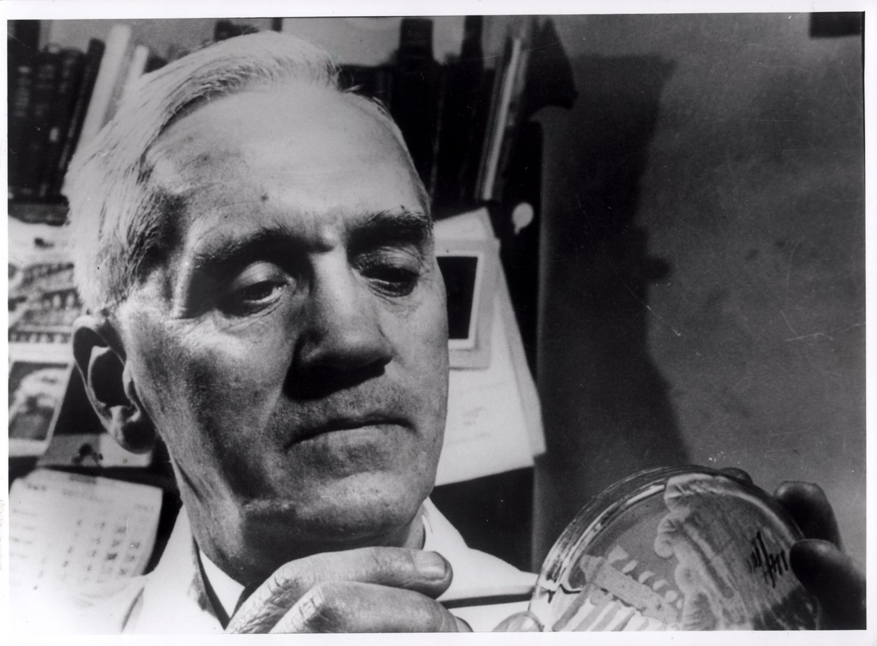 Alexander Fleming (1881-1955) c.1945 - English Photographer