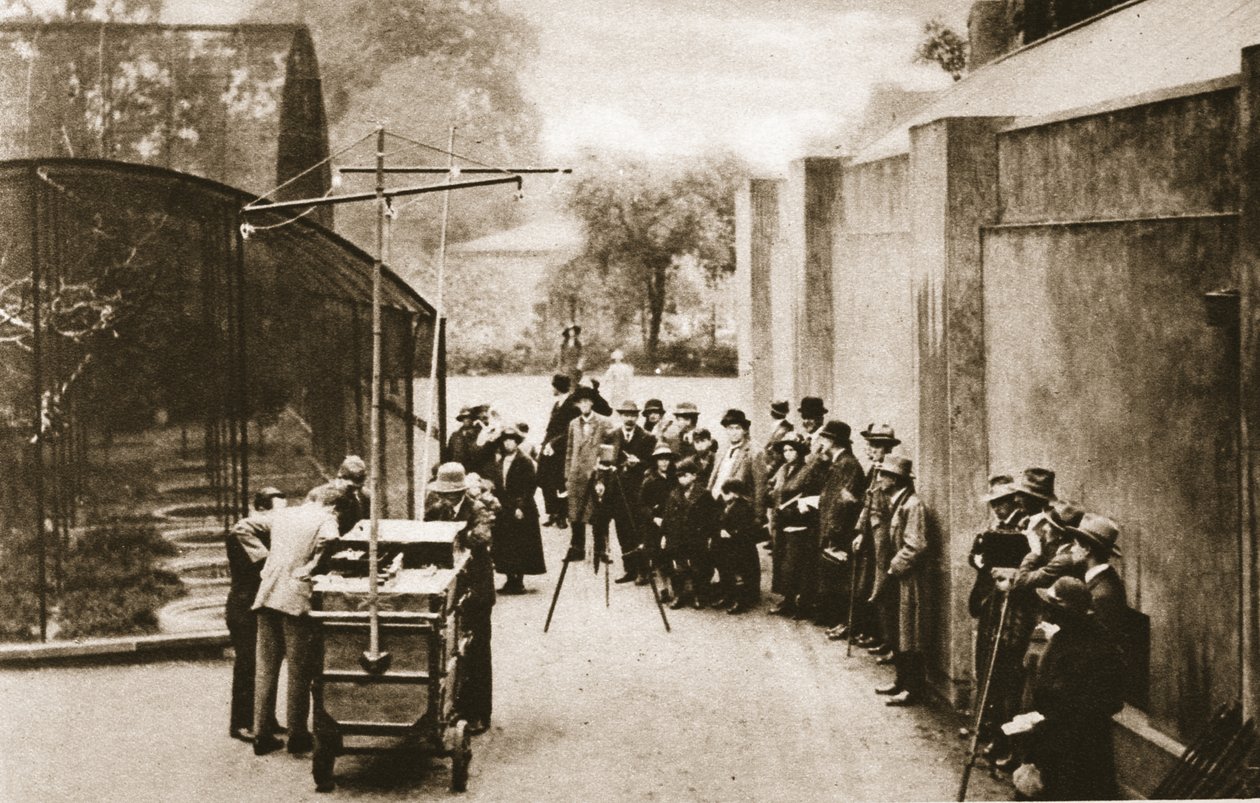 Une première diffusion extérieure par la BBC depuis le zoo de Londres alors que les techniciens tentaient d