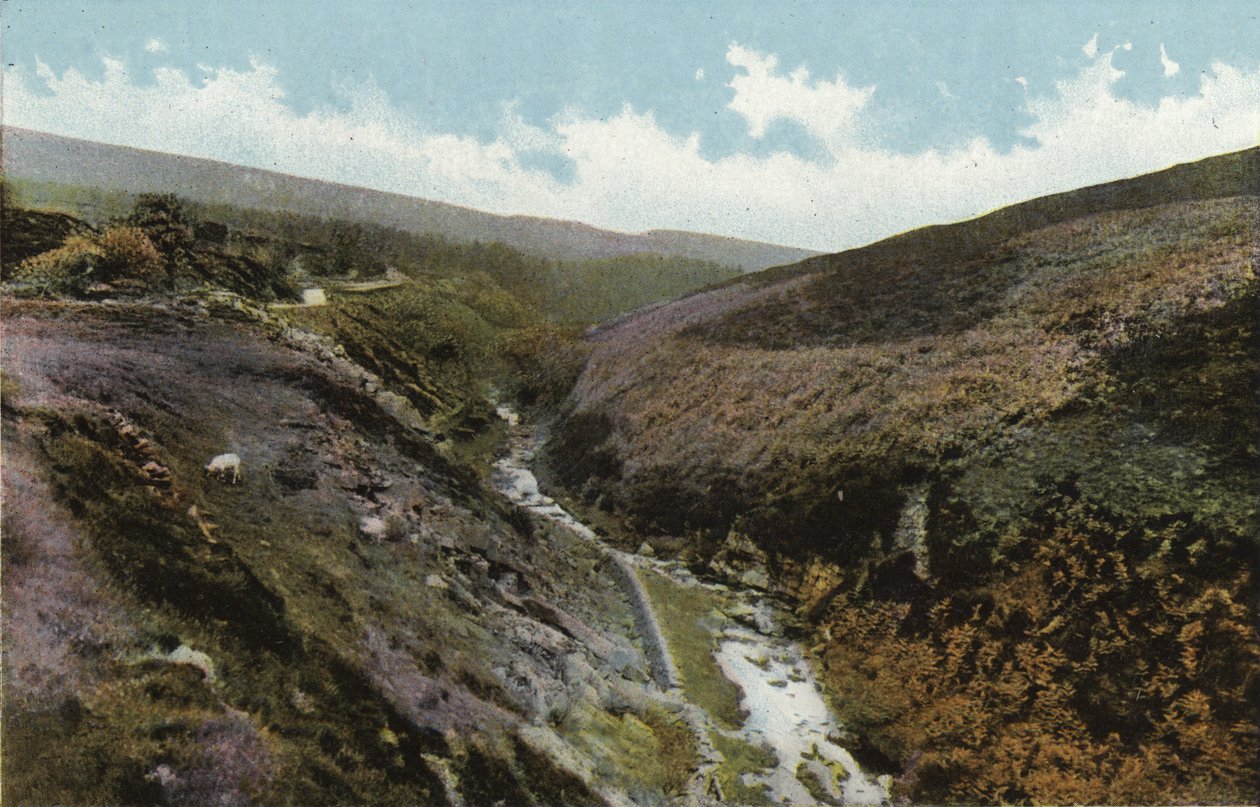 Buxton, Vallée de Goyt - English Photographer