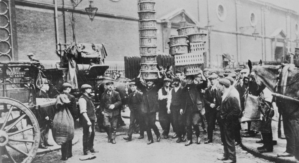 Vue des porteurs de paniers experts et d