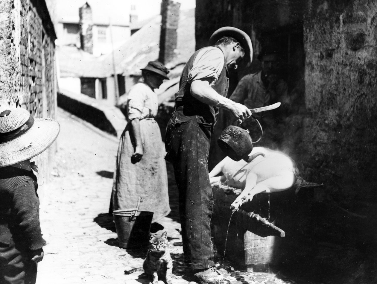 Échaudage du cochon près de Norway Lane, St Ives, vers 1880-99 - English Photographer