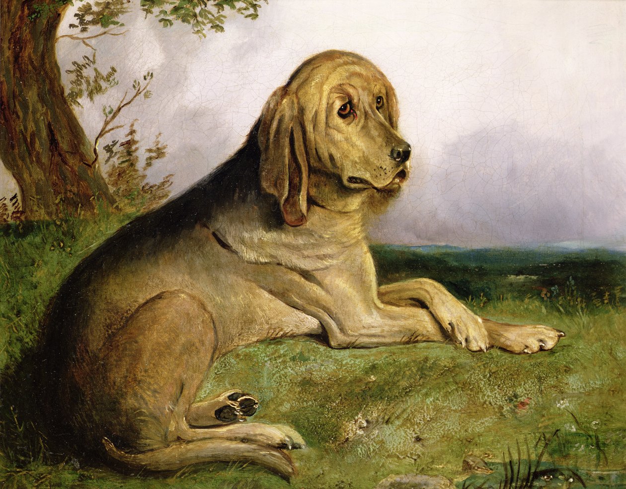 Un chien de Saint-Hubert dans un paysage - English School