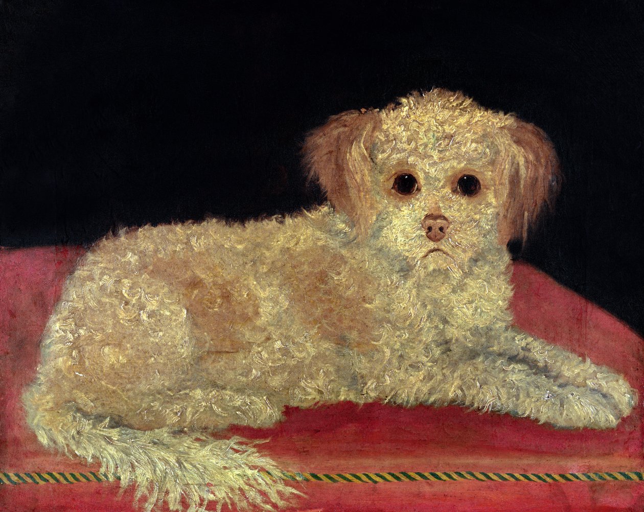 Un Terrier sur un coussin rouge, École provinciale - English School