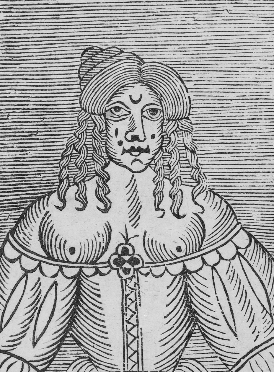 Une dame Tudor aux seins nus, une illustration de 