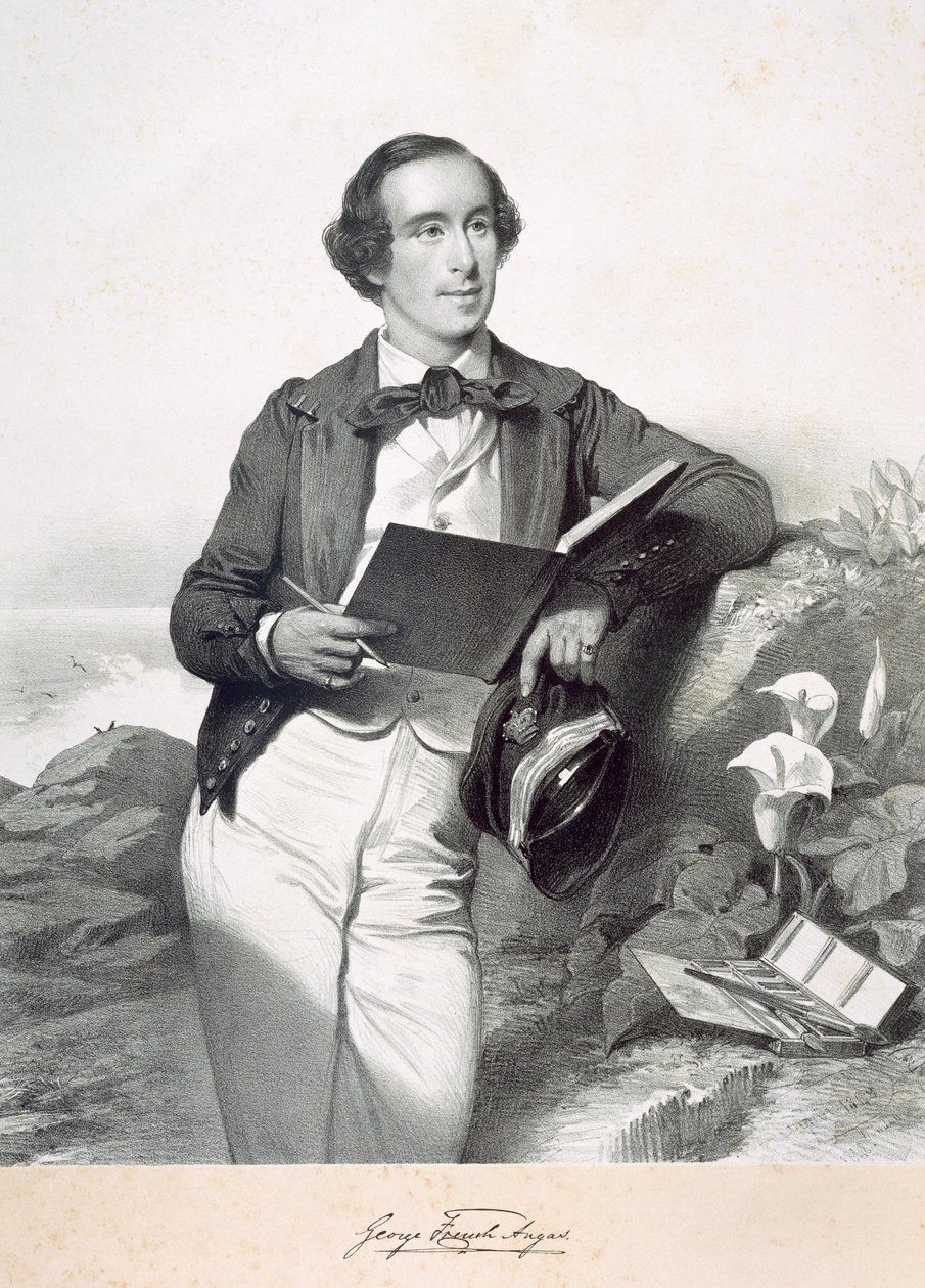 George French Angas - English School