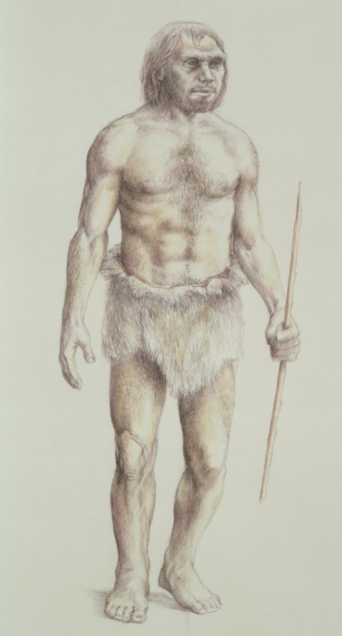 Homme de Néandertal - English School