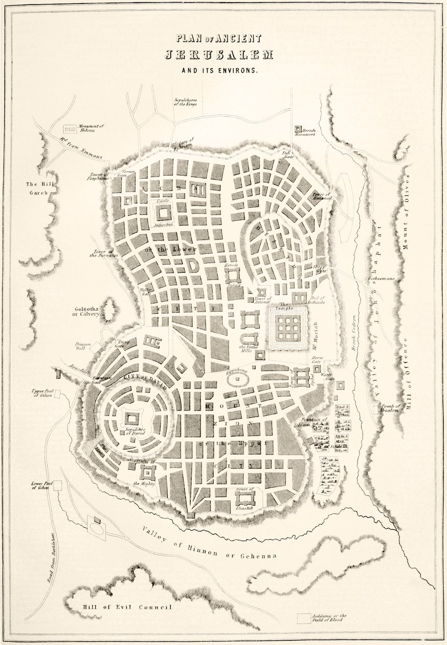 Plan de l