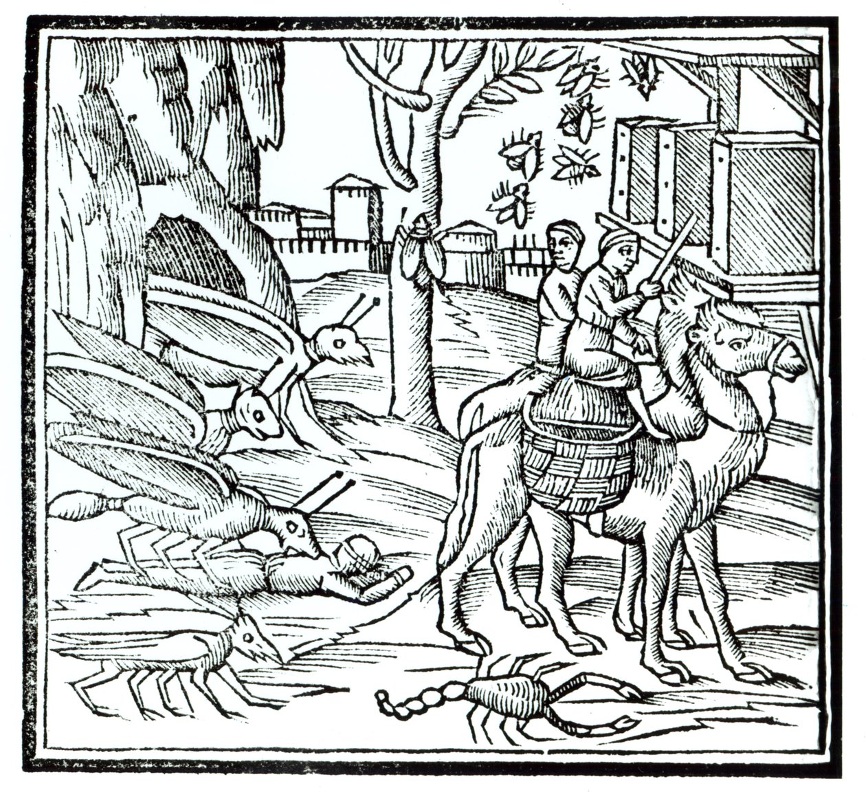 Représentation de la Peste, 1572 - English School