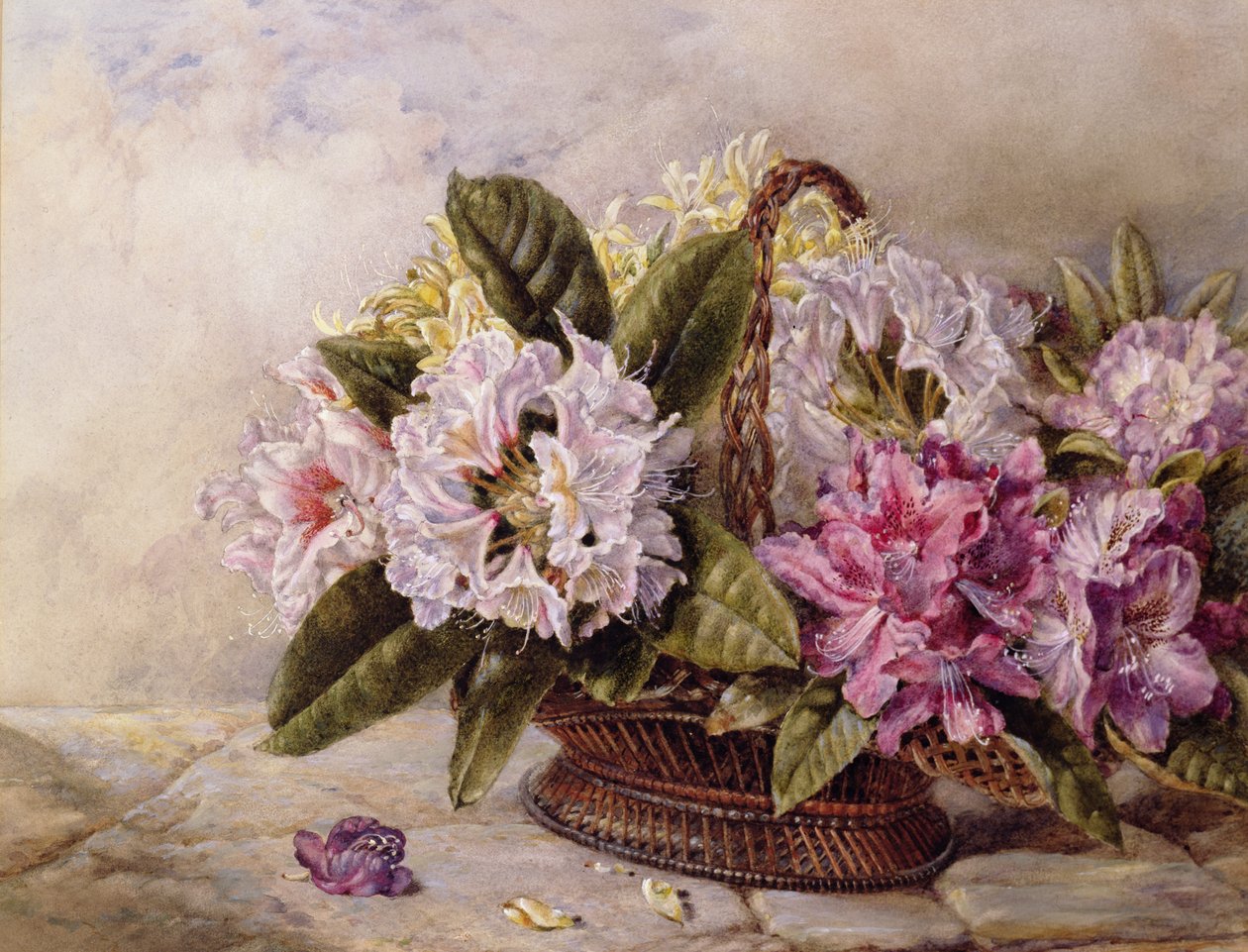 Rhododendrons - English School