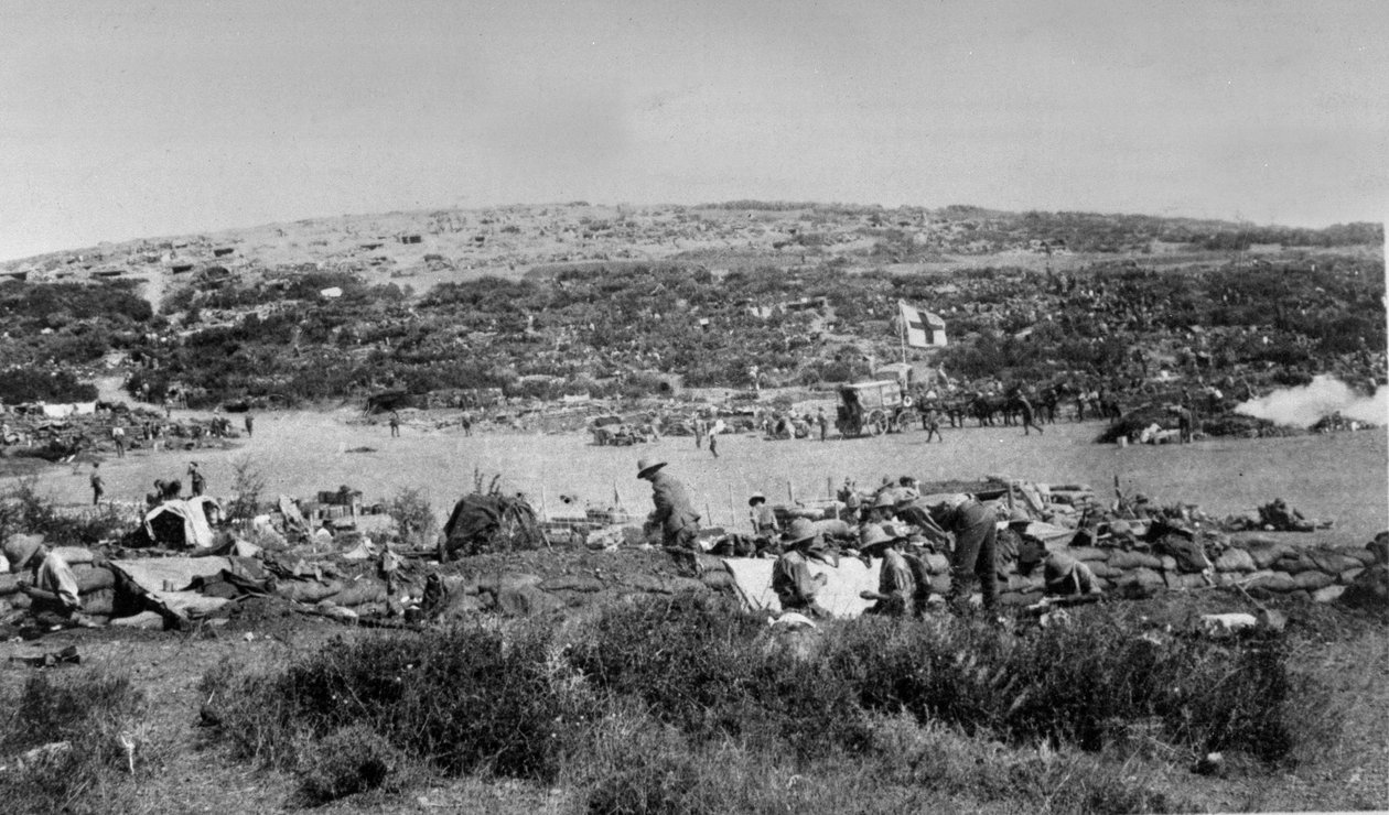 Baie de Suvla, Gallipoli à Chocolate Hill, vers 1915 - English Photographer
