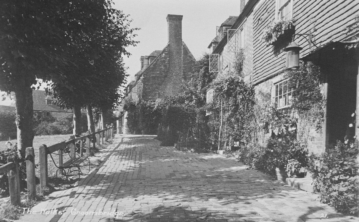 Les promenades, Groombridge - English Photographer