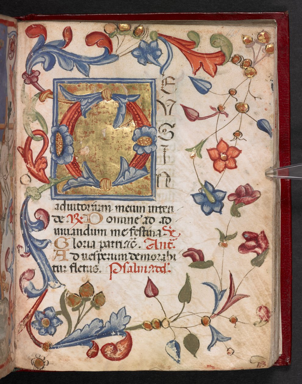 Add. 17466, f.141r - English School