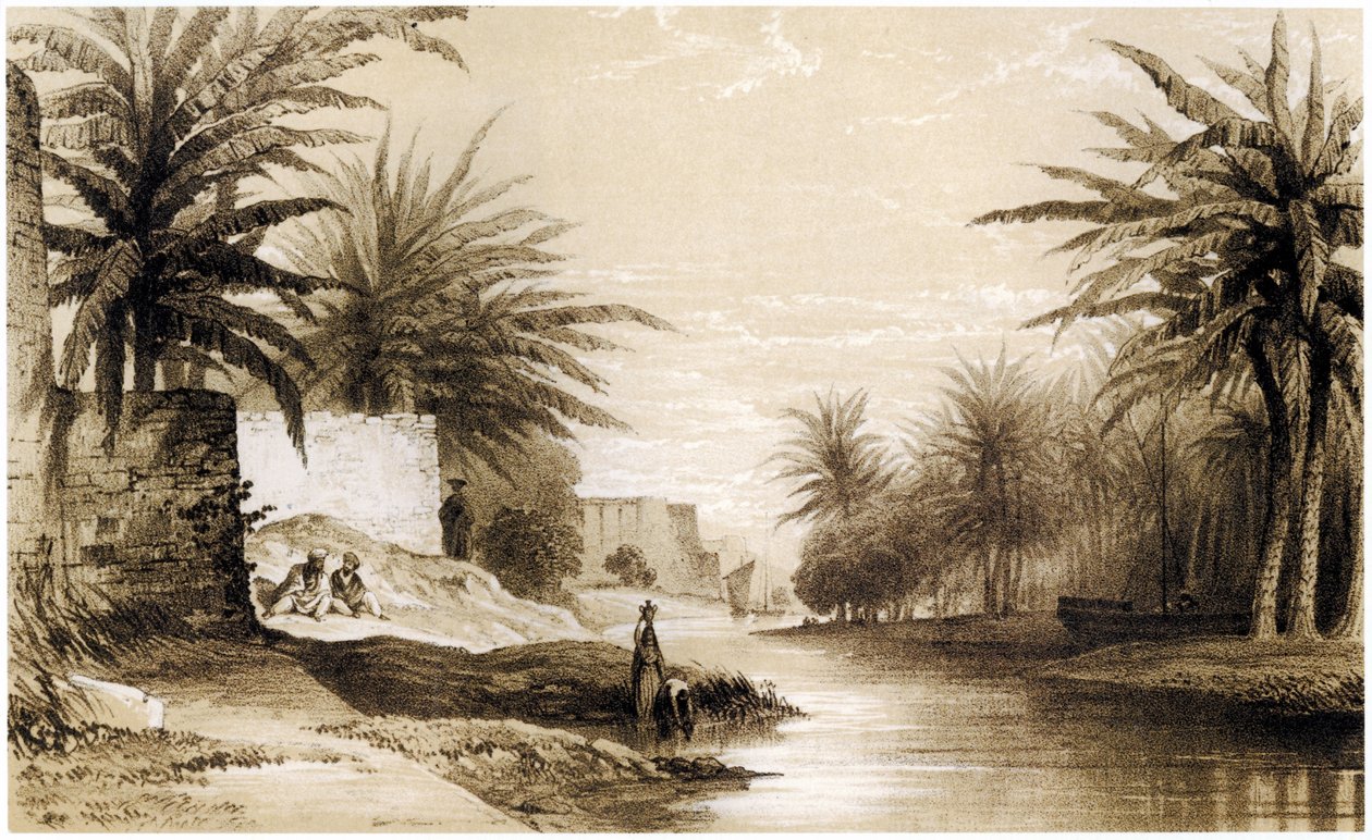 Bassorah - English School