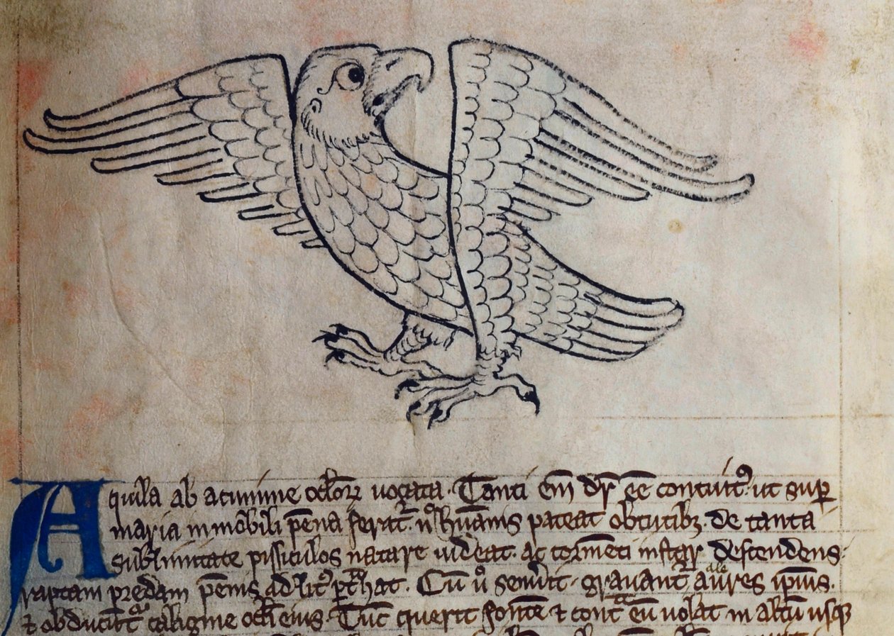 CCA-LitMs/D/10 fol. 13r Aigle, du Bestiaire - English School