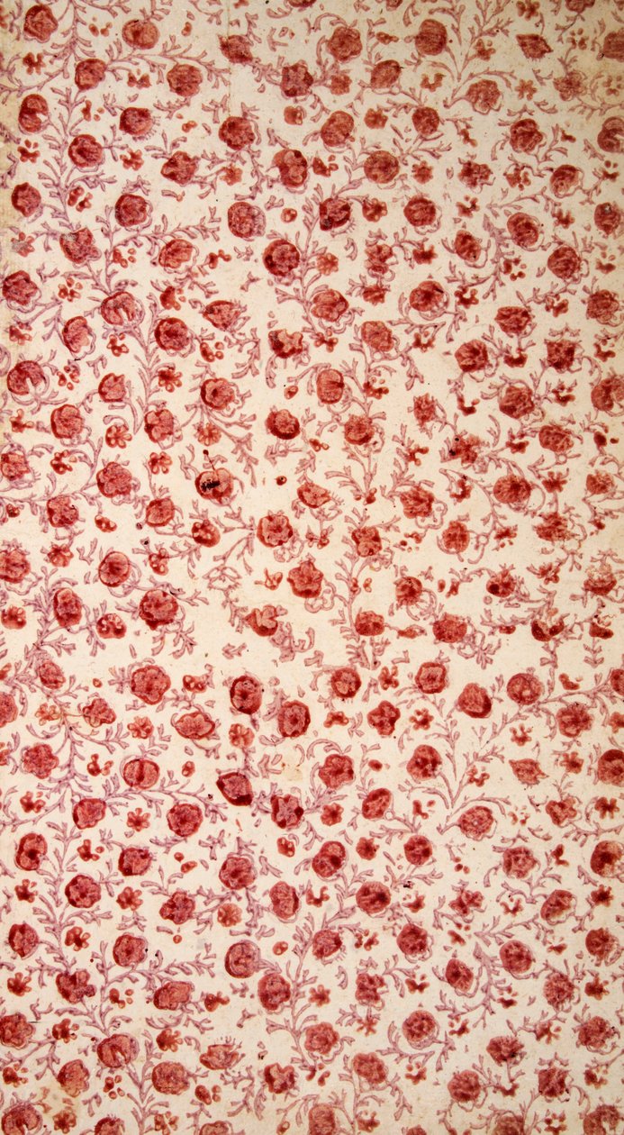 Page de garde florale gravure colorée à la main - English School