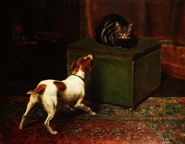 Animaux jaloux - English School