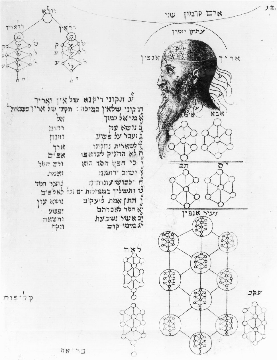 Manuscrit juif illustrant la phrénologie - English School
