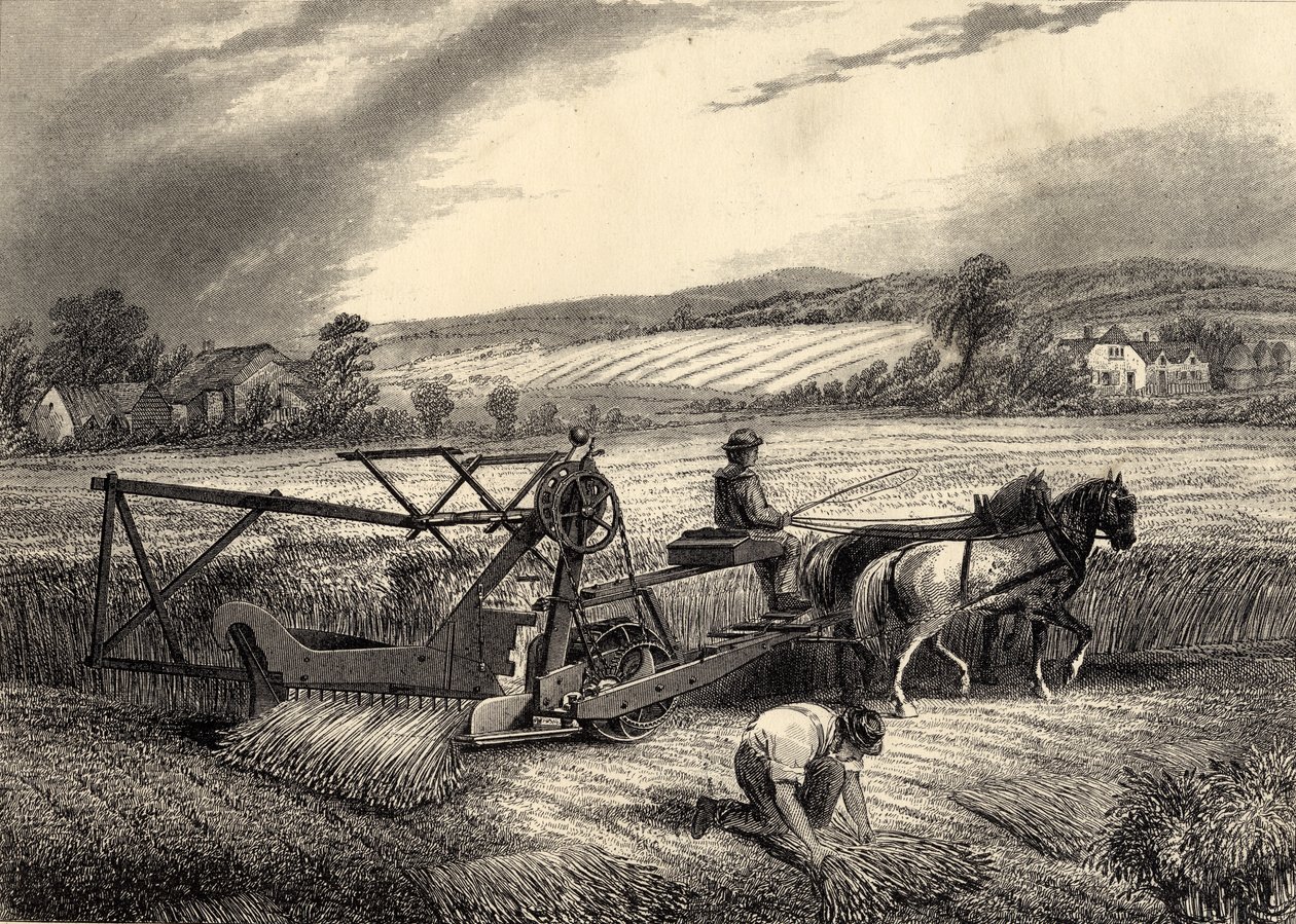 McCormicks Reaping Machine - English School