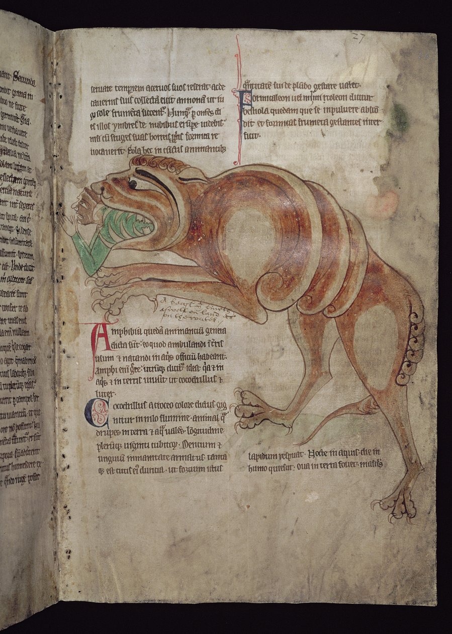 Ms.254 f.24 r Cocodrillus avalant un homme - English School