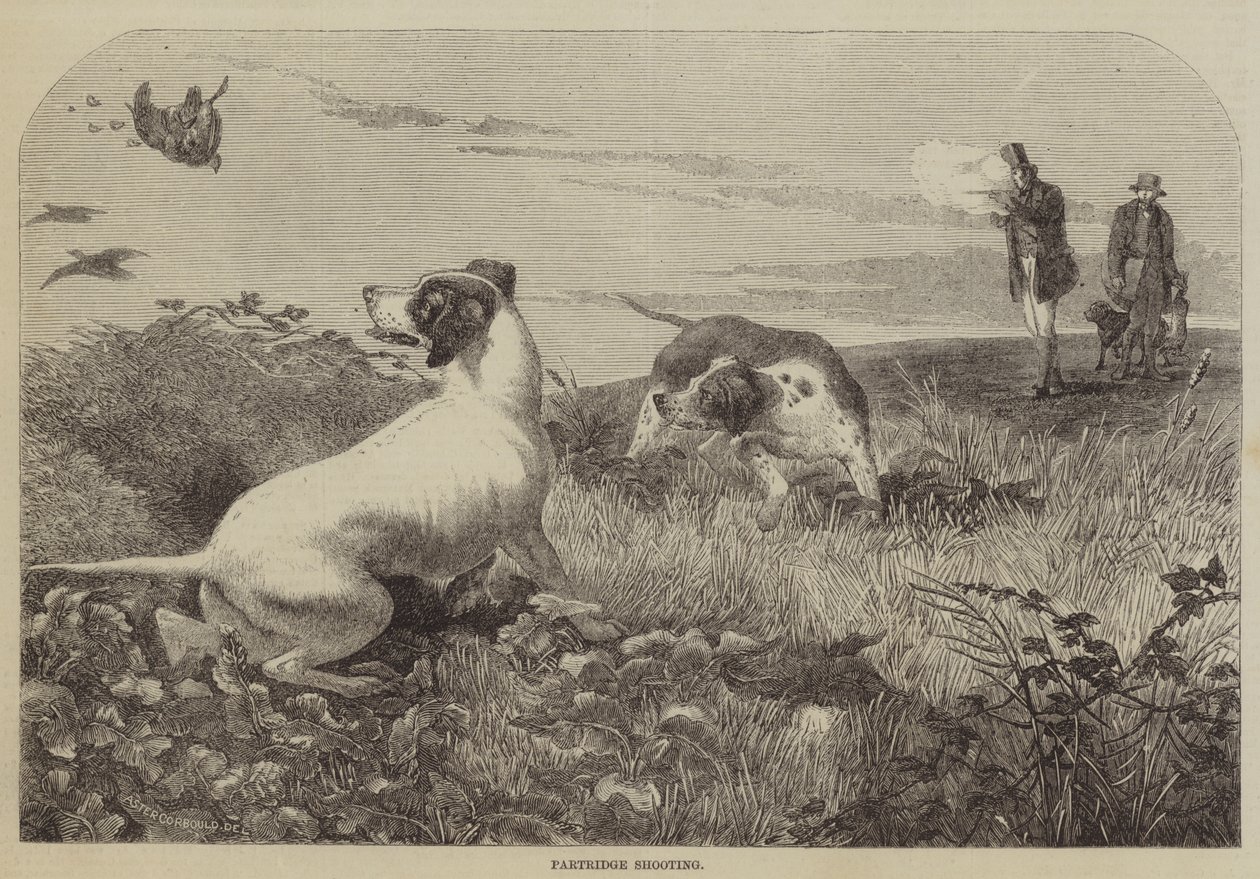 Chasse à la perdrix (gravure) - English School