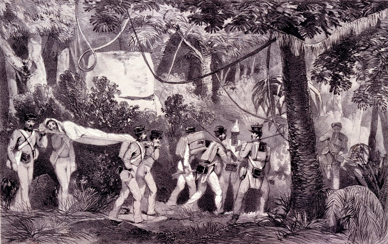 Le brancard - English School