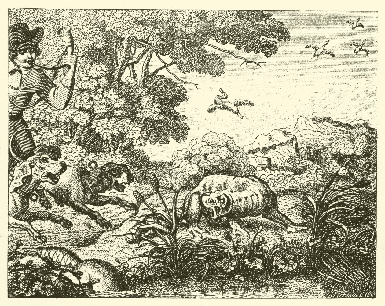 Le castor chassé (gravure) - English School