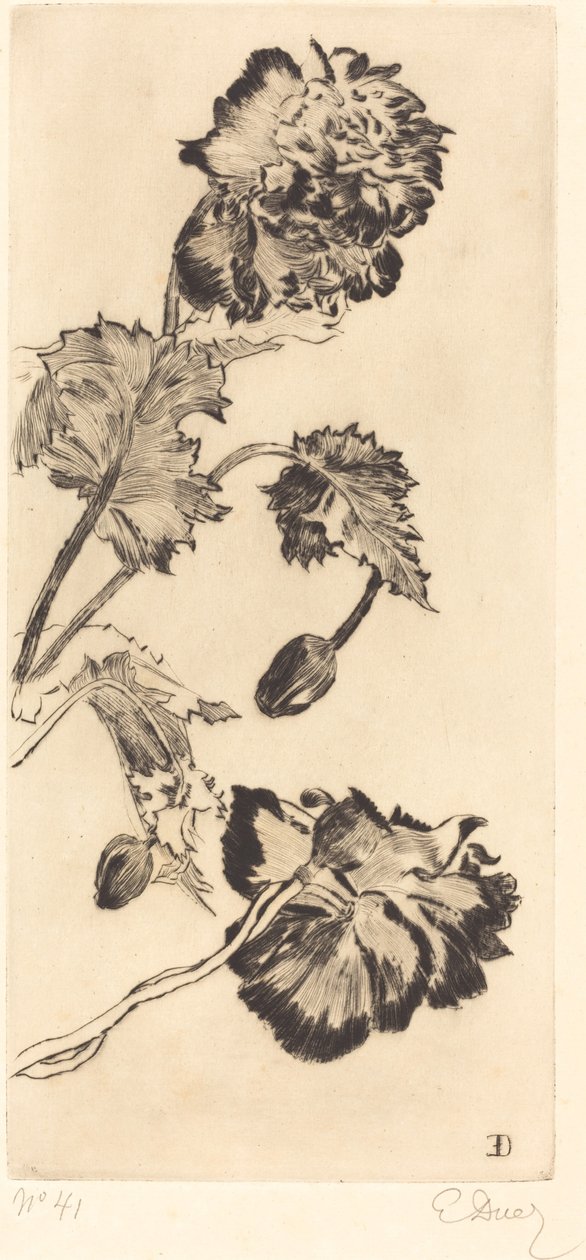 Fleurs - Ernest Ange Duez