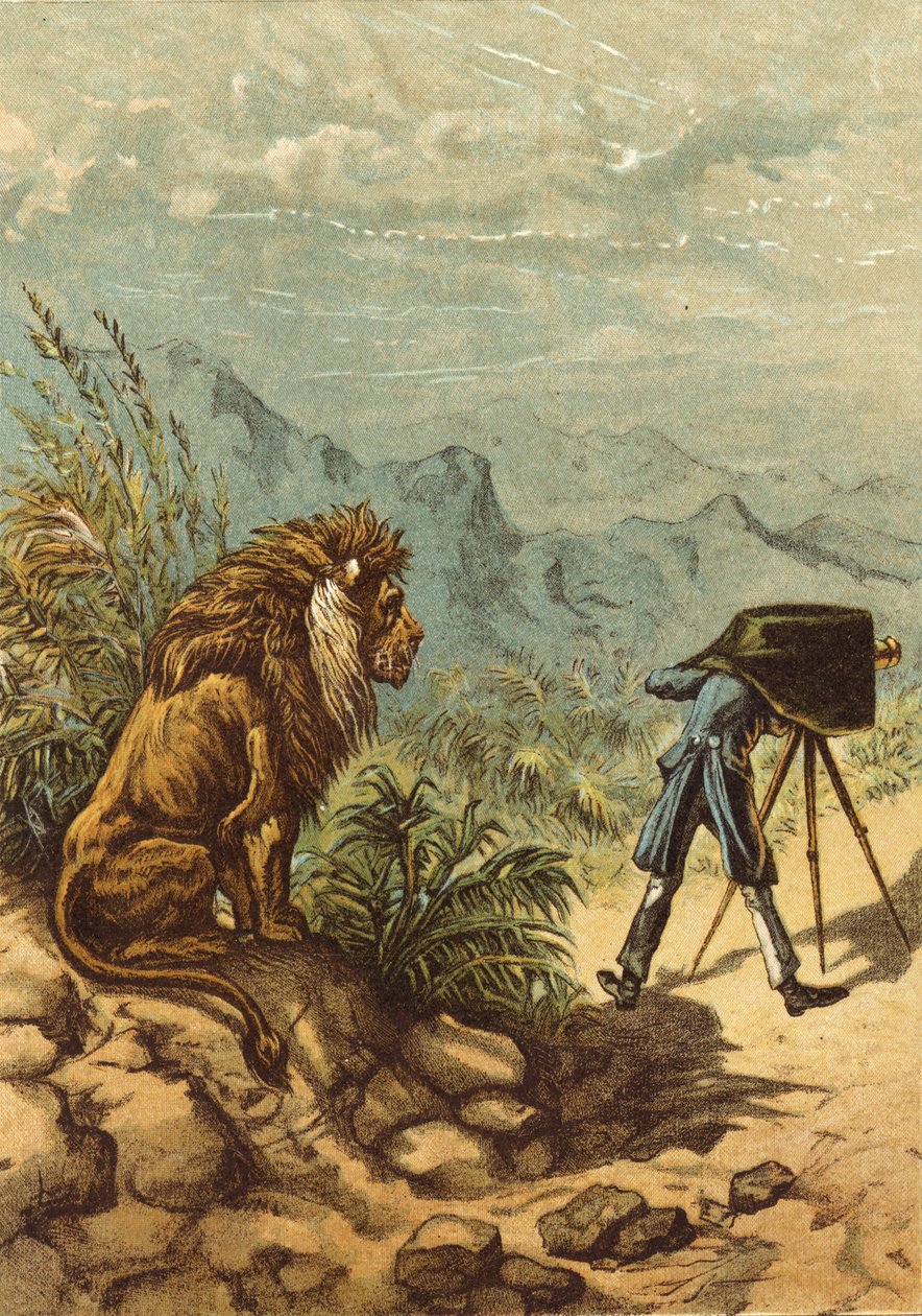 Perspective prometteuse, lion observe le photographe - Ernest Henry Griset