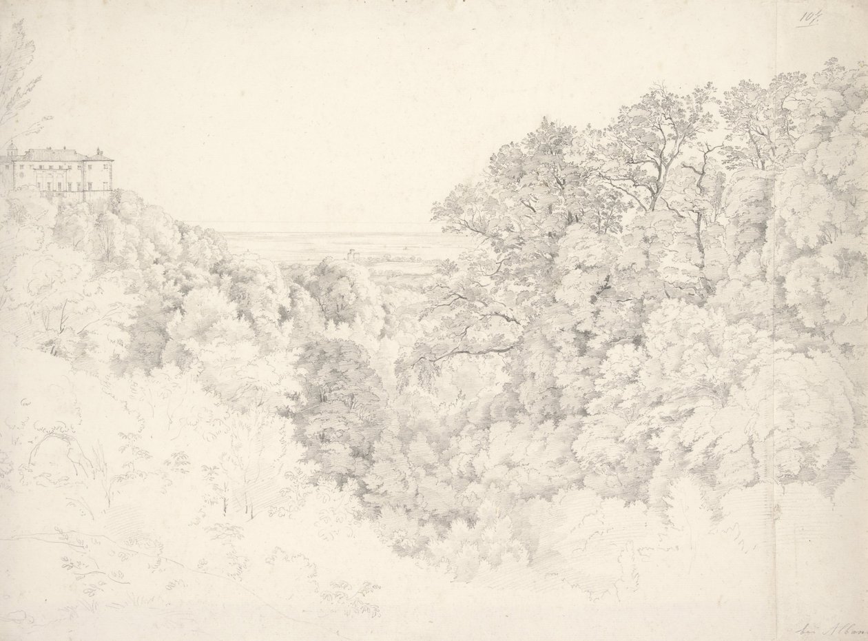 Vue d