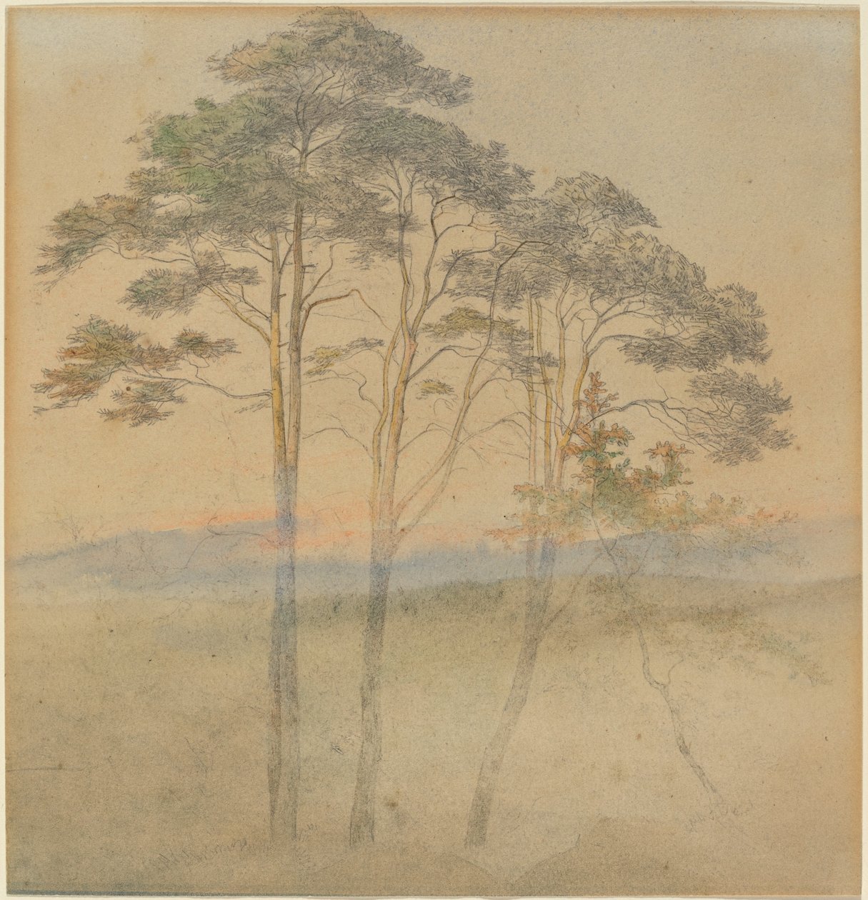 Pins dans un brouillard matinal - Ernst Ferdinand Oehme