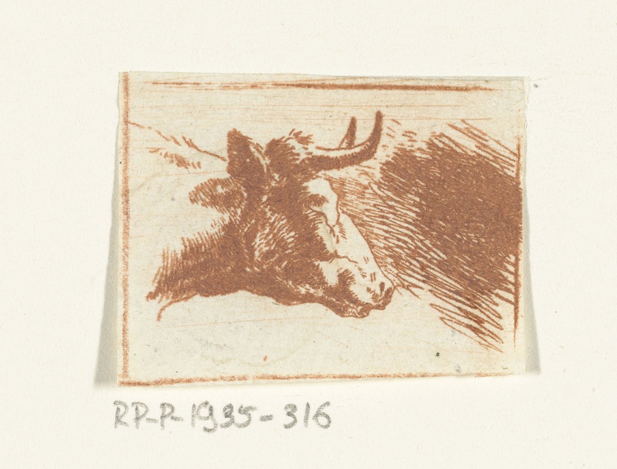 Tête de vache tournée vers la droite - Ernst Willem Jan Bagelaar