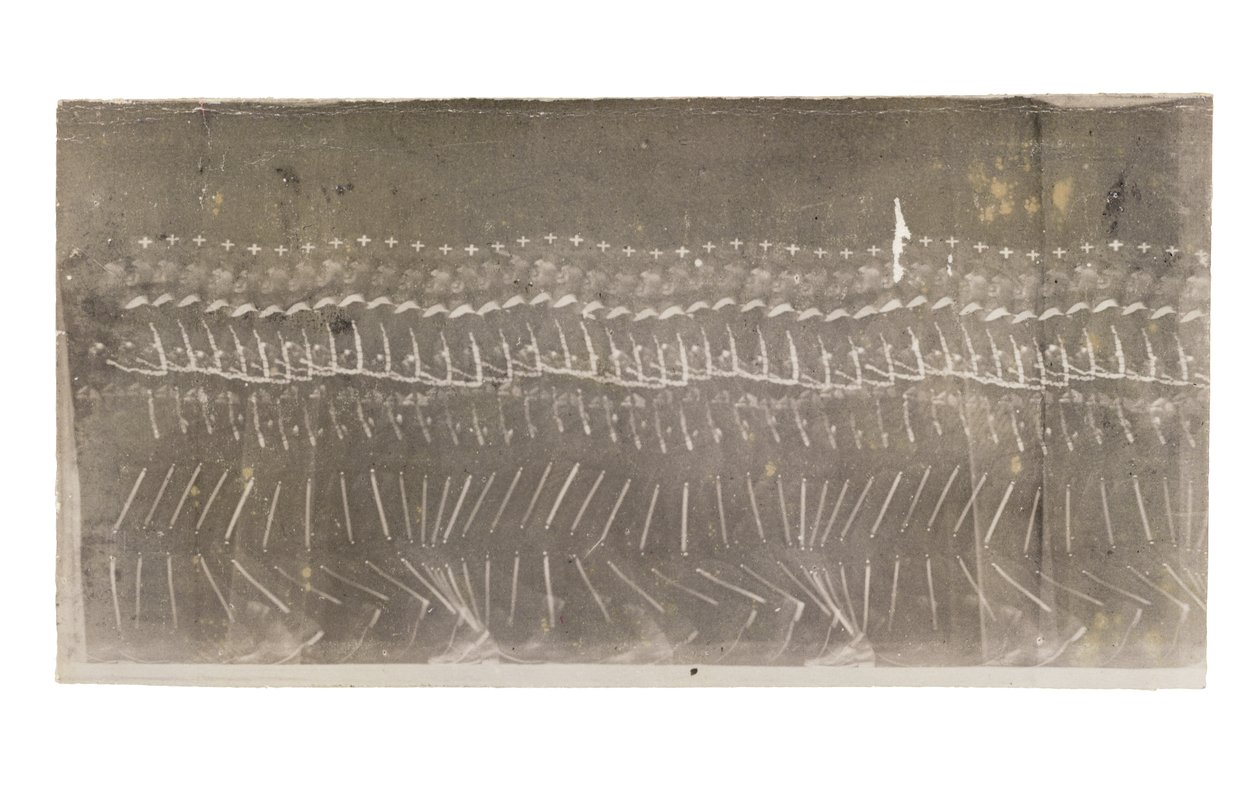 Homme marchant, 1882 - Etienne Jules Marey