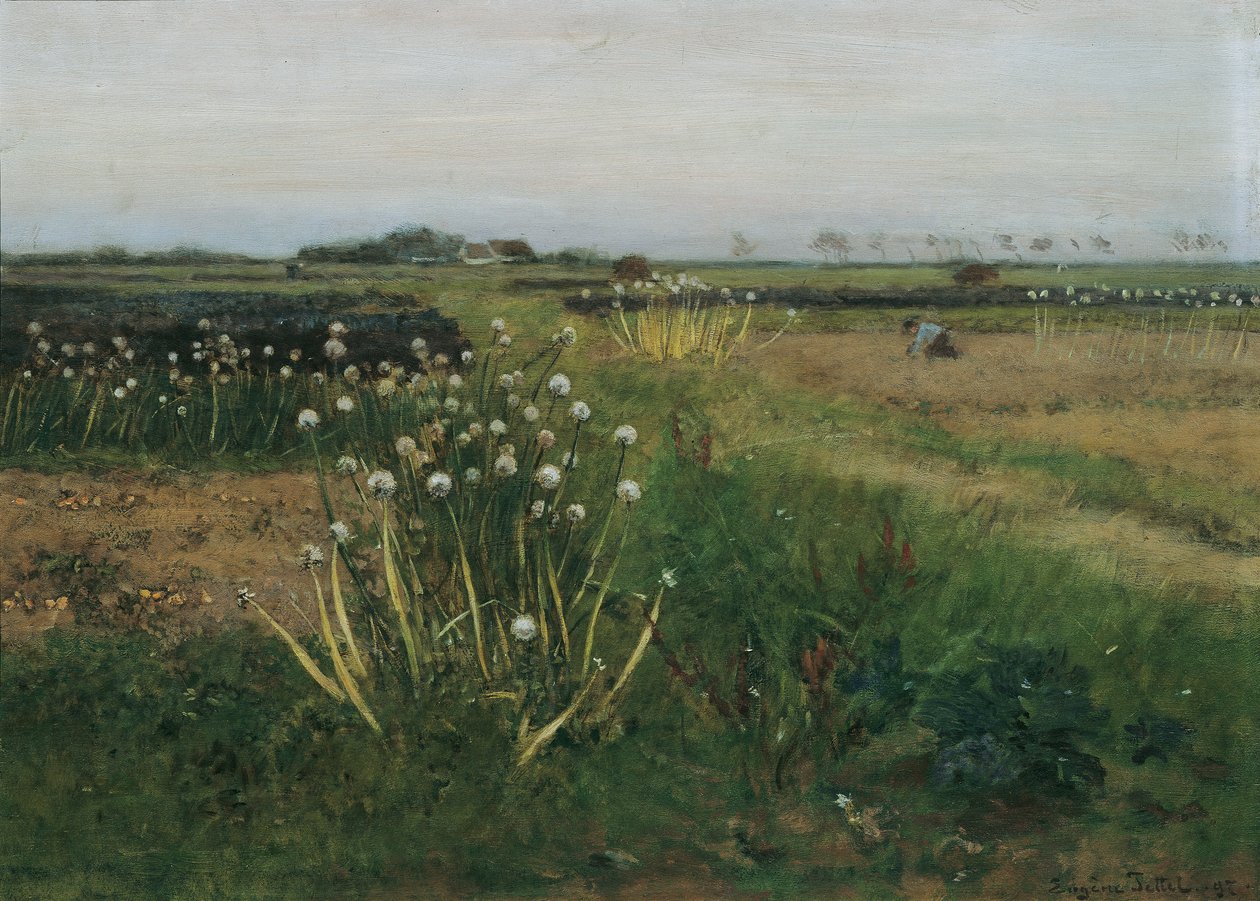 Champ de tulipes en fleurs - Eugen Jettel