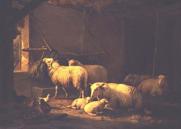 Moutons et volailles dans une grange - Eugene Joseph Verboeckhoven
