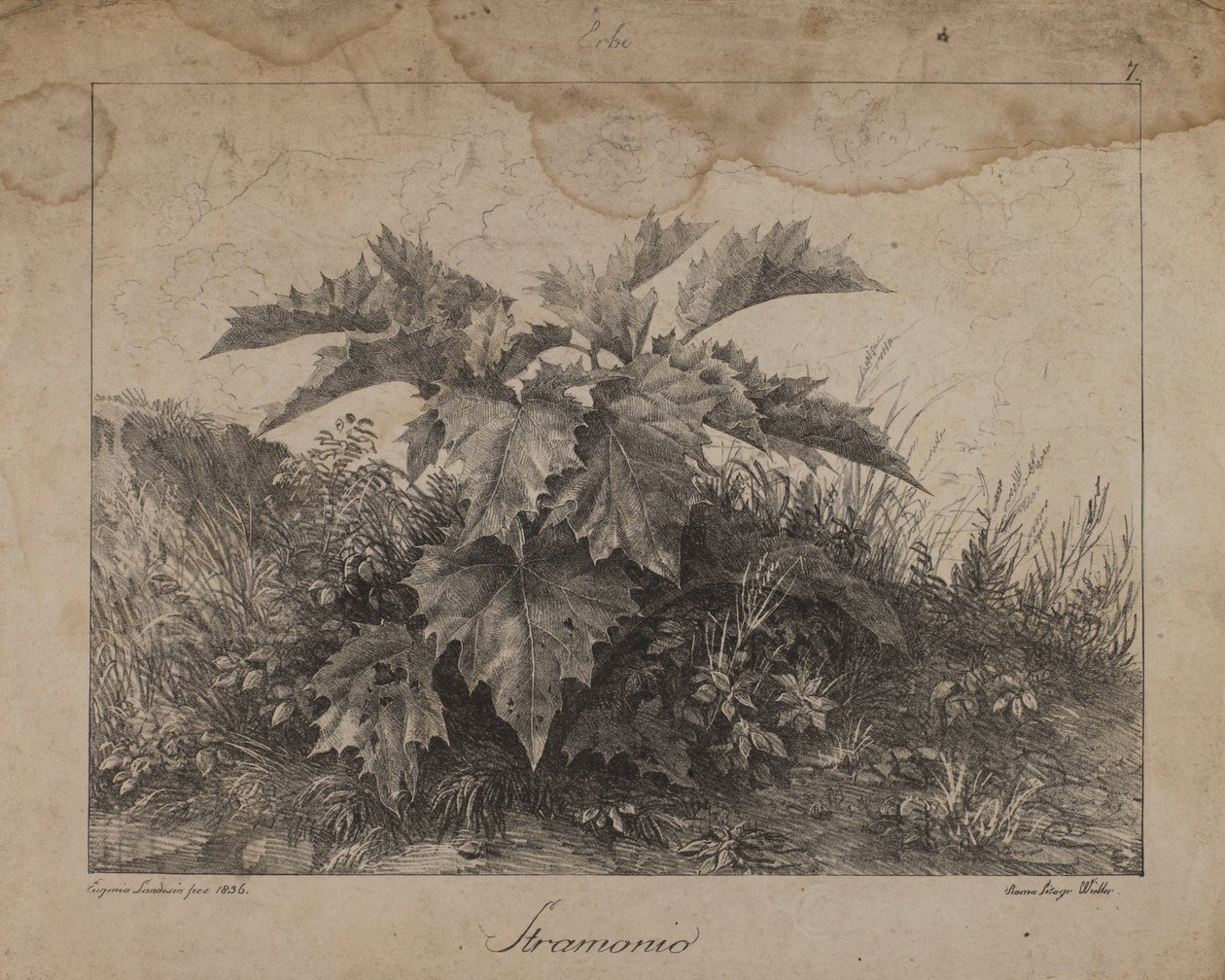Stramonium - Eugenio Landesio