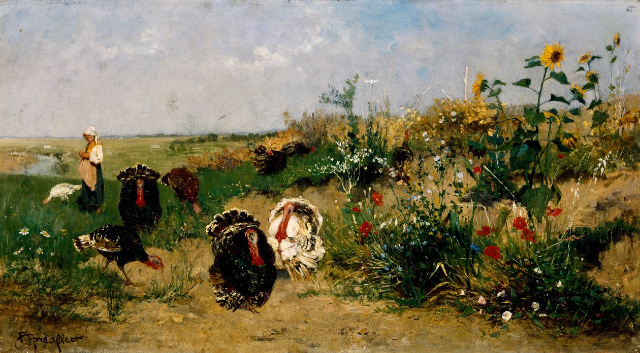 Dindes - Eugenio Spreafico