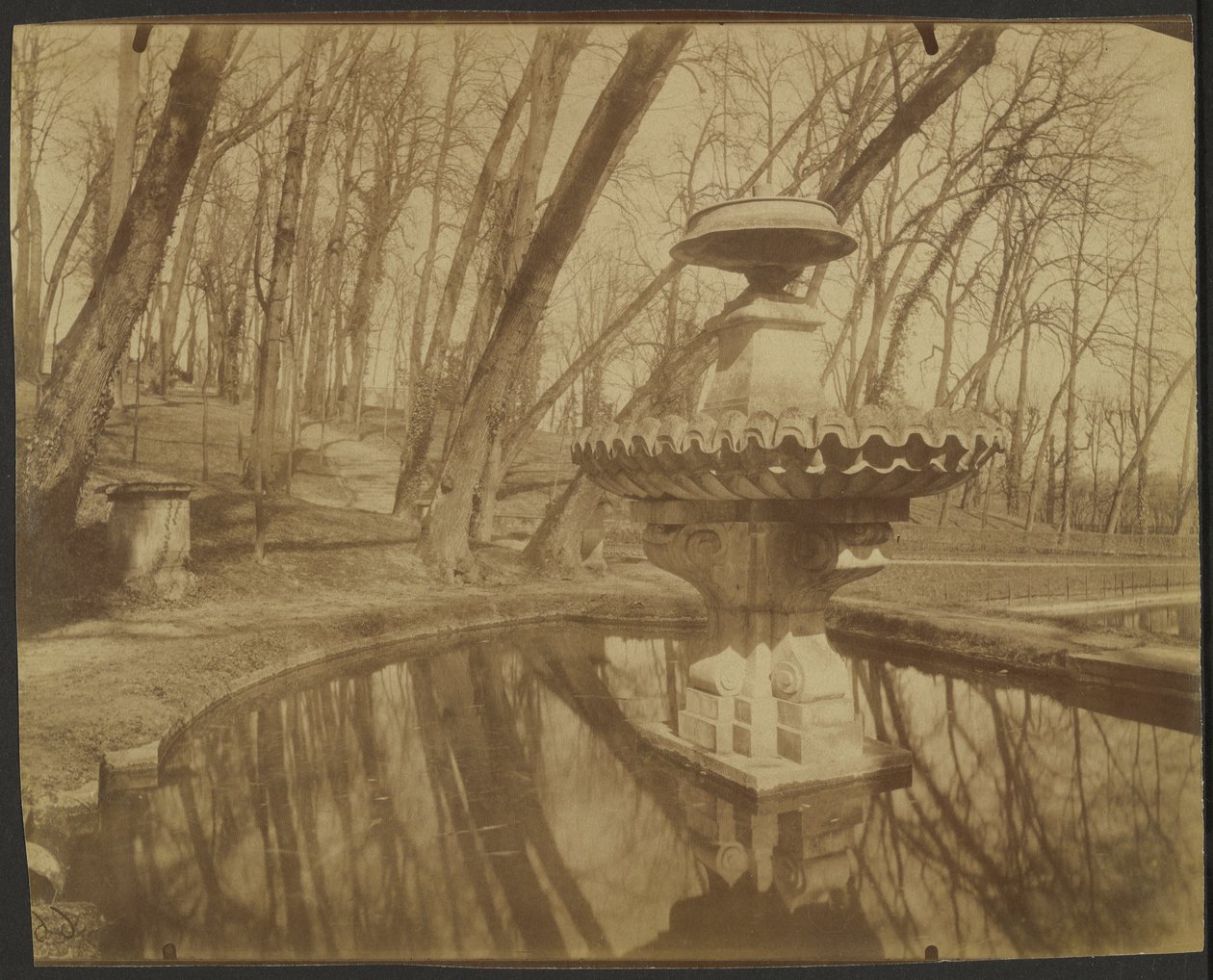 Parc de Saint Cloud (Saint Cloud Park) - Eugène Atget