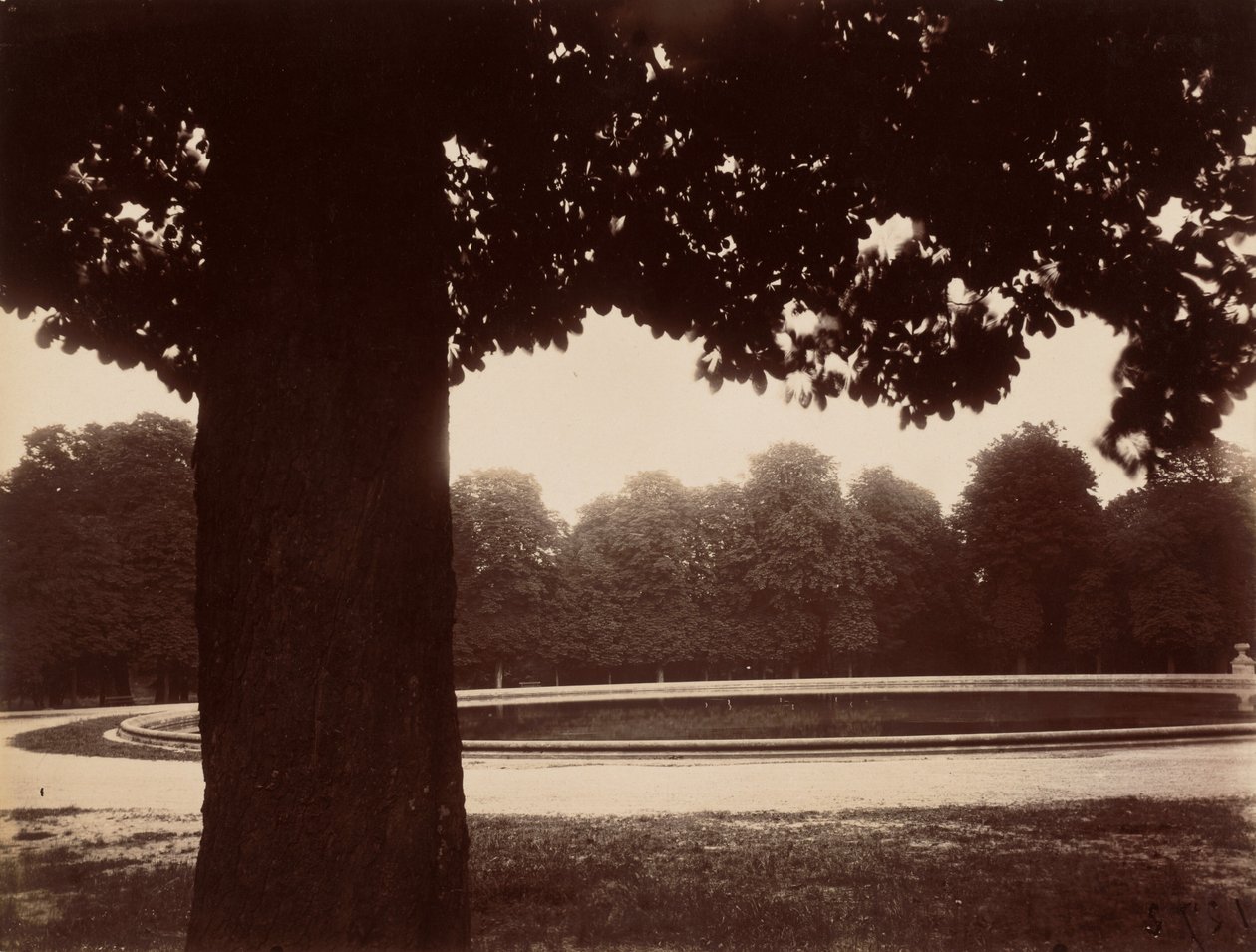 Saint-Cloud - Eugène Atget