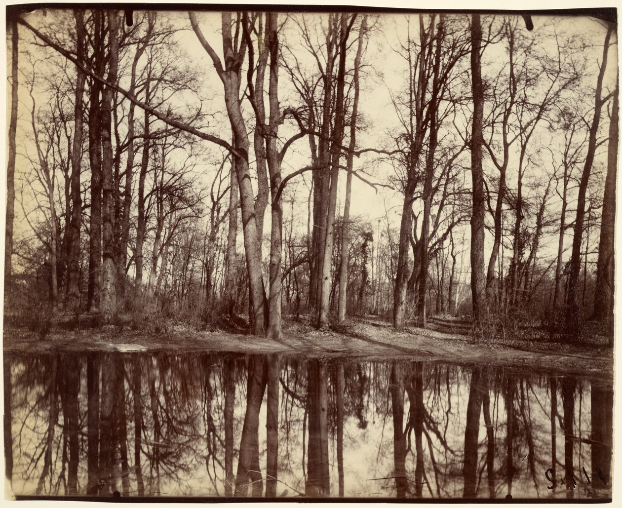Saint-Cloud - Eugène Atget