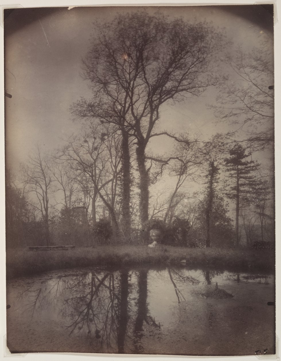 Le parc de Sceaux [avril 1925, 7h] - Eugène Atget