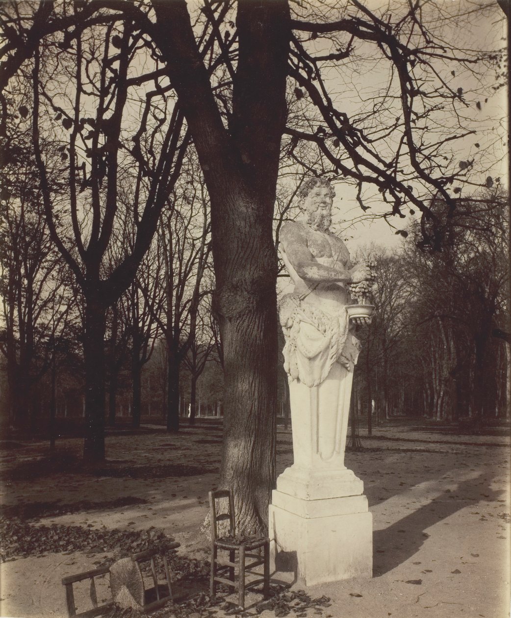 Versailles, Coin de Parc, 1904 - Eugène Atget