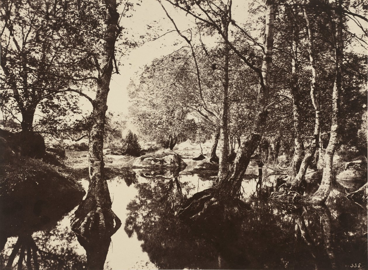 Belle-Croix,1860s (photo) - Eugène Cuvelier