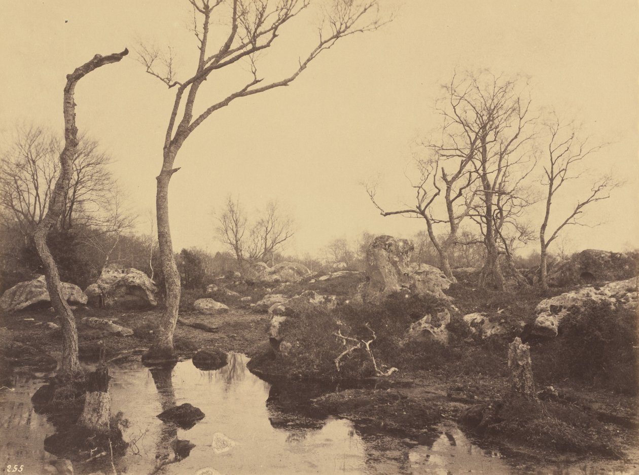 Belle Croix, vers 1858 - Eugène Cuvelier