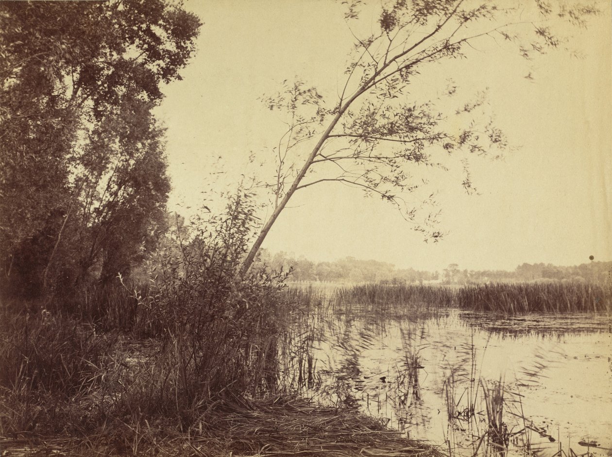 Marais de Fampoux - Eugène Cuvelier