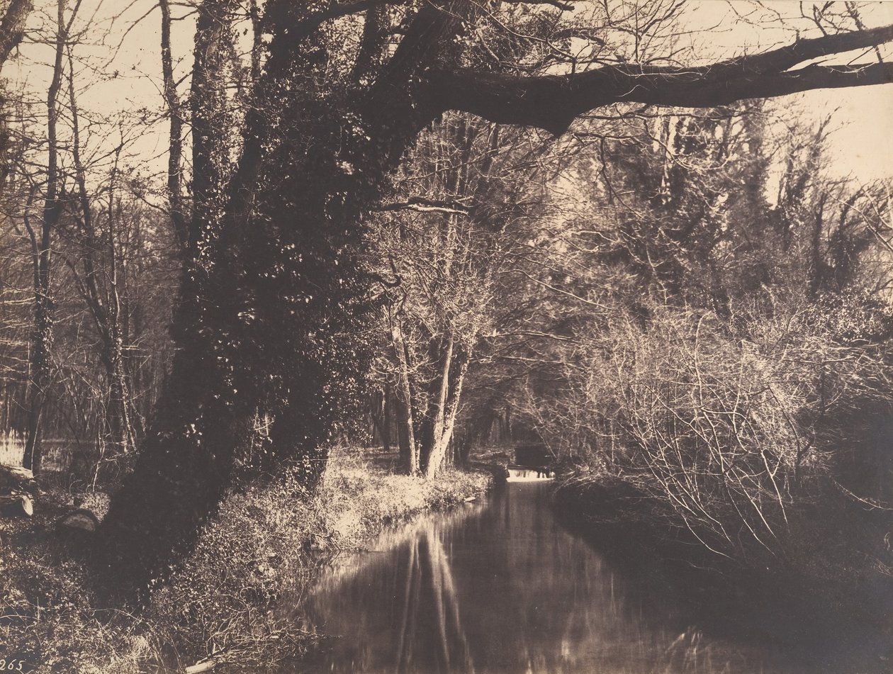 Parc de Courances - Eugène Cuvelier