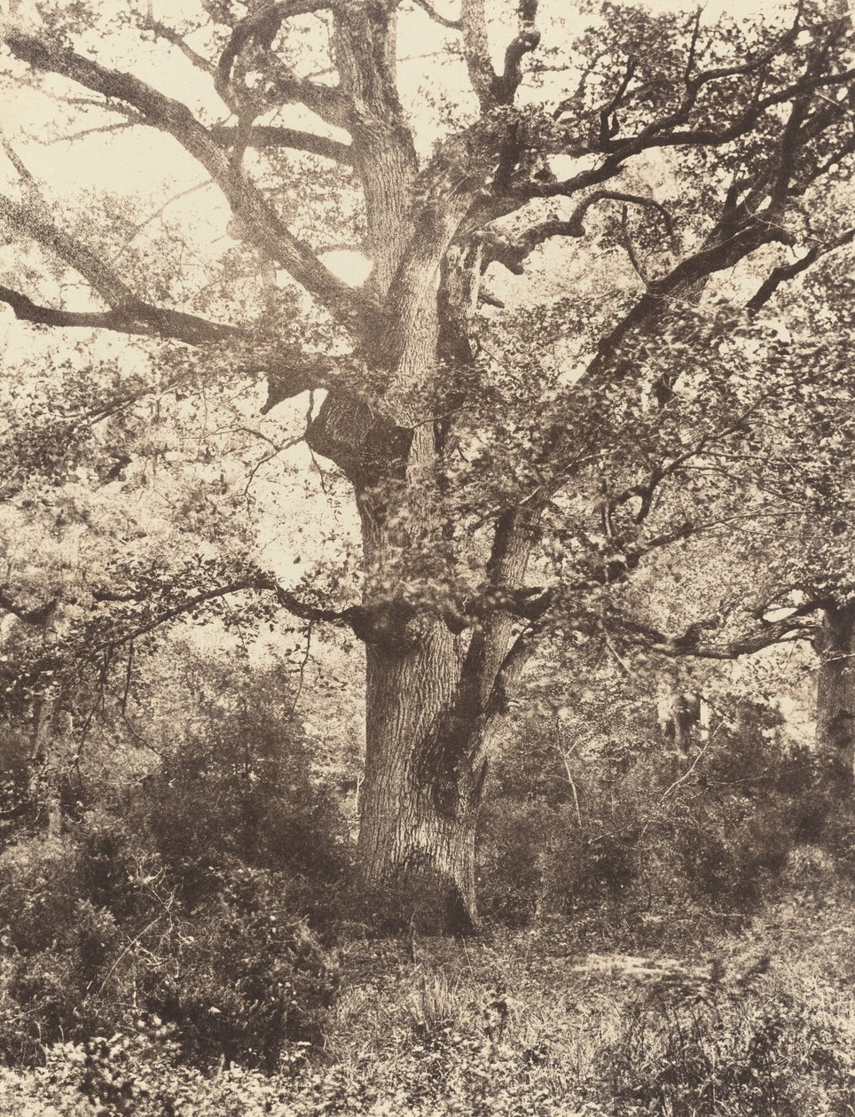Près du Bodmer - Eugène Cuvelier