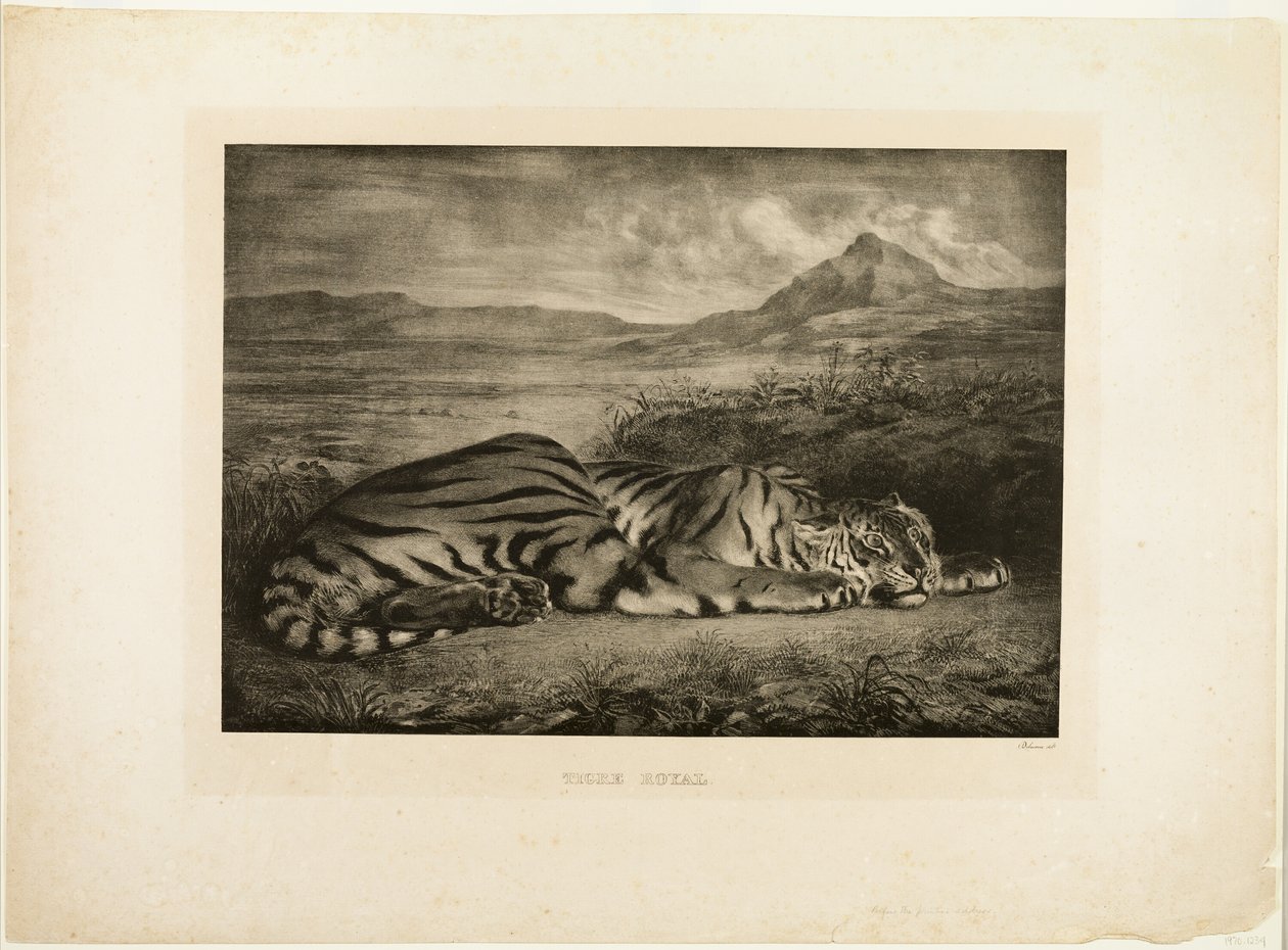 Tigre du Bengale - Eugène Delacroix
