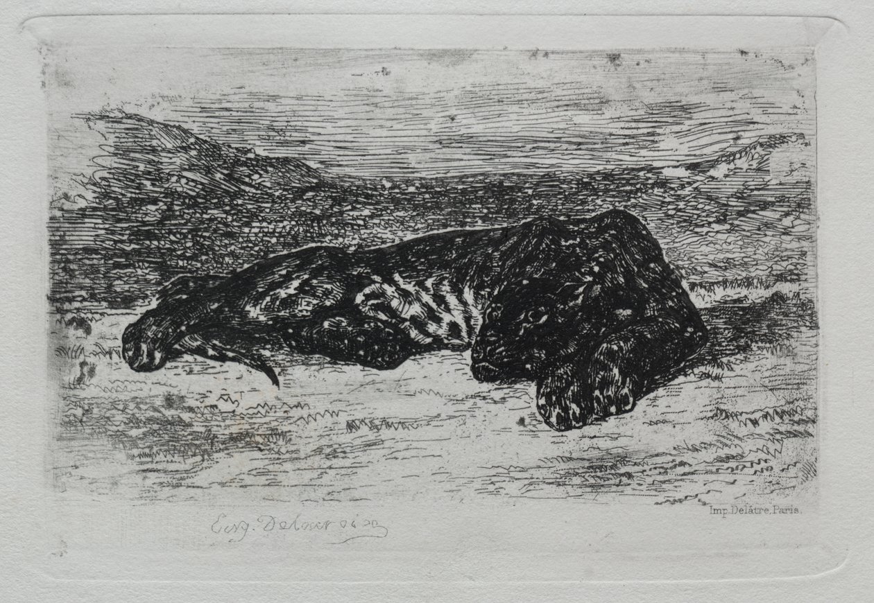 Tigre accroupi dans le désert - Eugène Delacroix